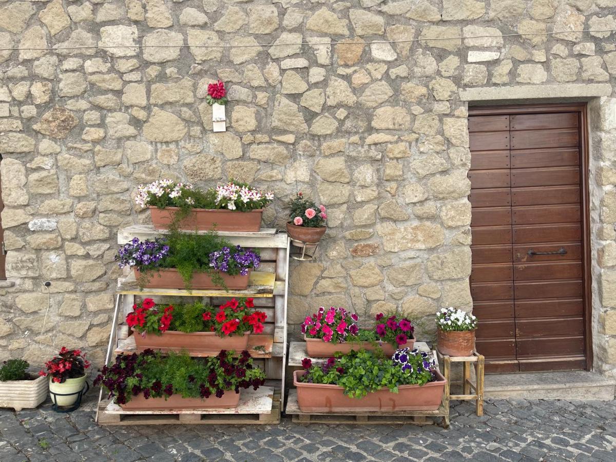 Luminoso Appartamento Sul Lago - Lake Court Anguillara Sabazia Kültér fotó